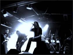 interview Arise (SWE)